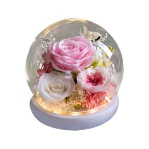 Everlasting Pink Roses Flower Dome Snow Globe Flower Gift